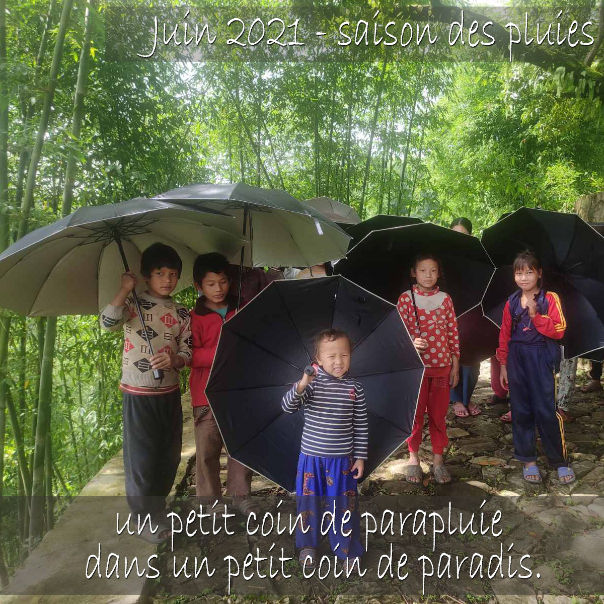 les parapluies